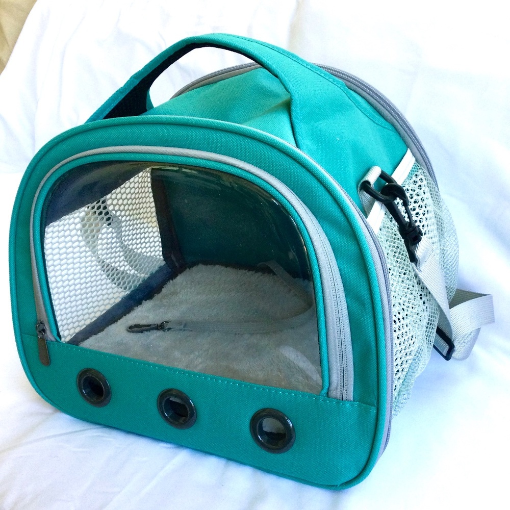 Small Pet Travel Carrier, Mint Green Color